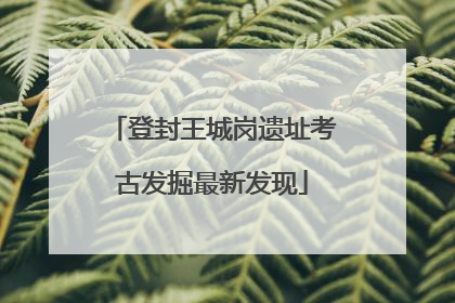 登封王城岗遗址考古发掘最新发现