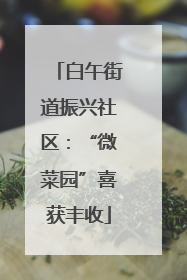 白午街道振兴社区：“微菜园”喜获丰收