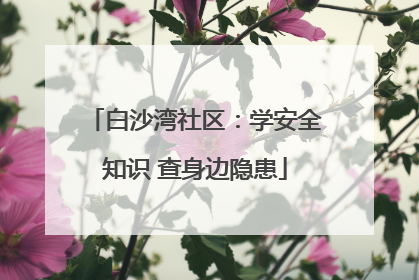 白沙湾社区：学安全知识 查身边隐患