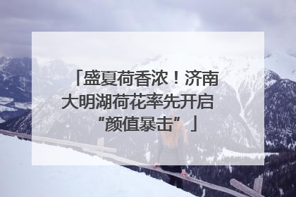 盛夏荷香浓！济南大明湖荷花率先开启“颜值暴击”
