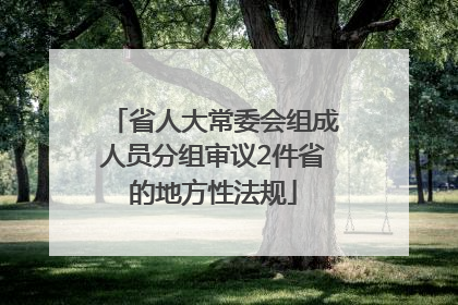 省人大常委会组成人员分组审议2件省的地方性法规
