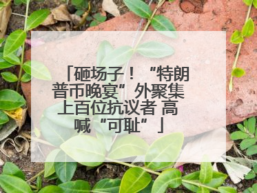 砸场子！“特朗普币晚宴”外聚集上百位抗议者 高喊“可耻”