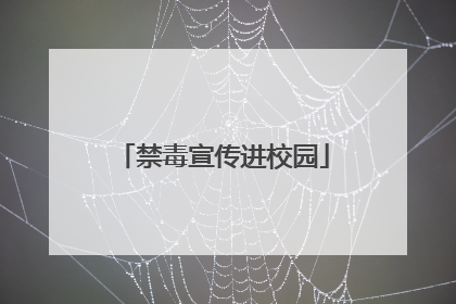 禁毒宣传进校园