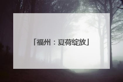 福州：夏荷绽放