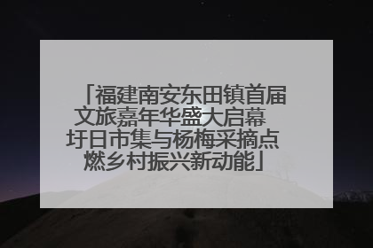 福建南安东田镇首届文旅嘉年华盛大启幕 圩日市集与杨梅采摘点燃乡村振兴新动能