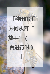 种田能手为何从容“放手”（三夏进行时）