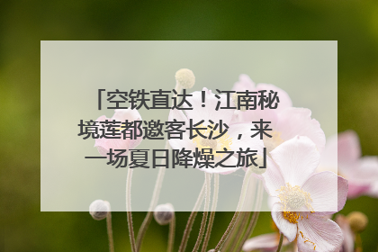 空铁直达！江南秘境莲都邀客长沙，来一场夏日降燥之旅