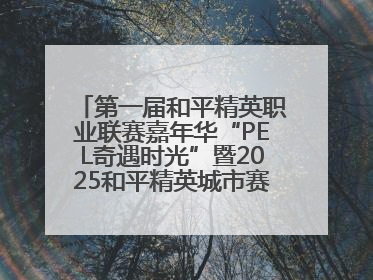 第一届和平精英职业联赛嘉年华“PEL奇遇时光”暨2025和平精英城市赛总决赛盛大启幕