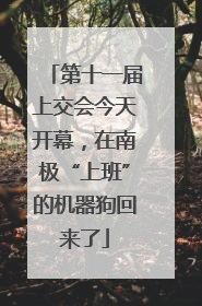 第十一届上交会今天开幕，在南极“上班”的机器狗回来了