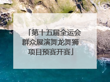 第十五届全运会群众展演舞龙舞狮项目预赛开赛