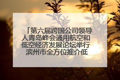 第六届跨国公司领导人青岛峰会通用航空和低空经济发展论坛举行 滨州市全方位推介低空经济发展优势