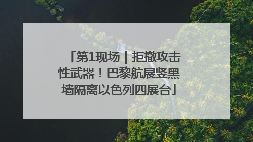 第1现场｜拒撤攻击性武器！巴黎航展竖黑墙隔离以色列四展台