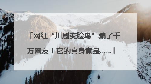 网红“川剧变脸鸟”骗了千万网友！它的真身竟是……