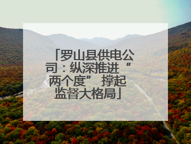 罗山县供电公司：纵深推进“两个度” 撑起监督大格局
