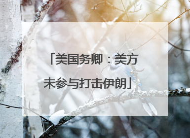 美国务卿：美方未参与打击伊朗