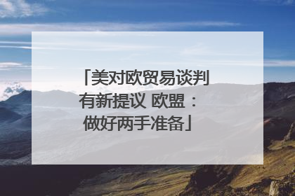 美对欧贸易谈判有新提议 欧盟：做好两手准备