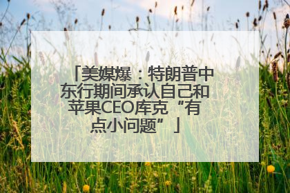 美媒爆：特朗普中东行期间承认自己和苹果CEO库克“有点小问题”