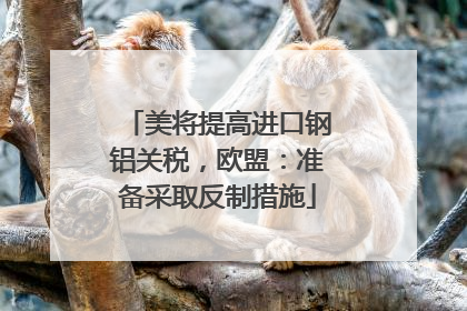 美将提高进口钢铝关税，欧盟：准备采取反制措施