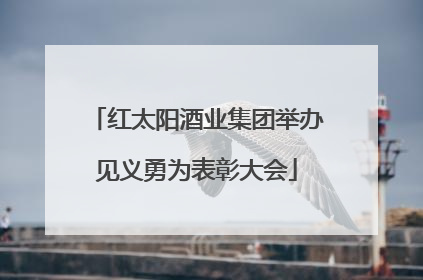 红太阳酒业集团举办见义勇为表彰大会