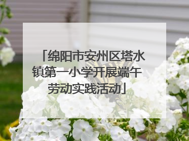 绵阳市安州区塔水镇第一小学开展端午劳动实践活动