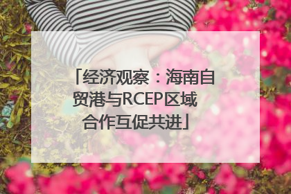 经济观察：海南自贸港与RCEP区域合作互促共进