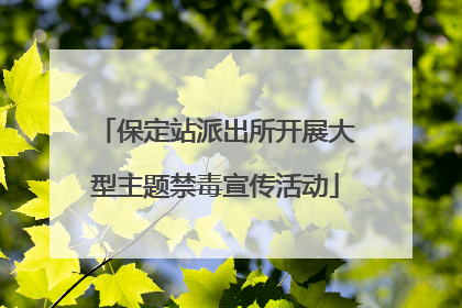 保定站派出所开展大型主题禁毒宣传活动