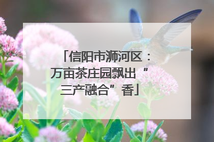 信阳市浉河区：万亩茶庄园飘出“三产融合”香