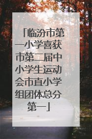 临汾市第一小学喜获市第二届中小学生运动会市直小学组团体总分第一