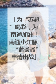 为“苏超”喝彩，为南通加油！南通小江豚“蓝叒叒”申请出战
