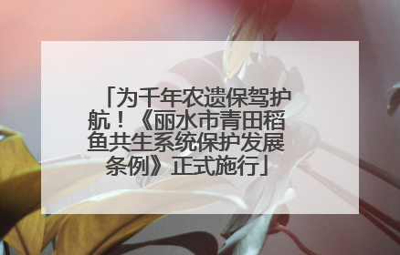 为千年农遗保驾护航！《丽水市青田稻鱼共生系统保护发展条例》正式施行