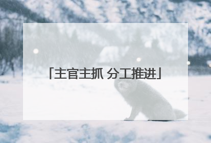 主官主抓 分工推进