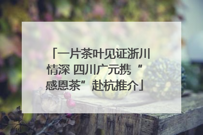 一片茶叶见证浙川情深 四川广元携“感恩茶”赴杭推介