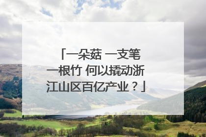 一朵菇 一支笔 一根竹 何以撬动浙江山区百亿产业？
