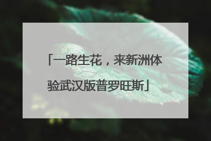 一路生花，来新洲体验武汉版普罗旺斯