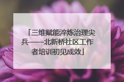 三维赋能淬炼治理尖兵——北新桥社区工作者培训初见成效