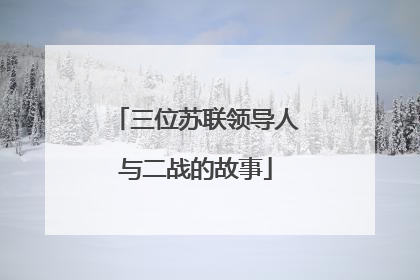三位苏联领导人与二战的故事