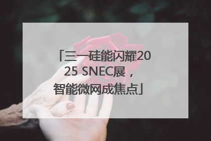 三一硅能闪耀2025 SNEC展，智能微网成焦点