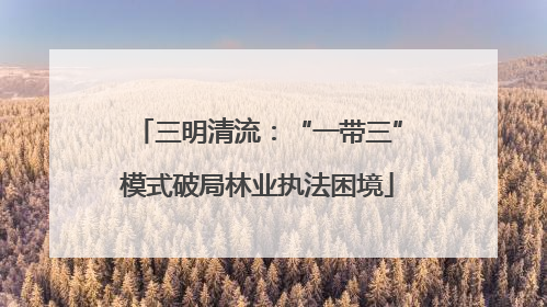 三明清流：“一带三”模式破局林业执法困境