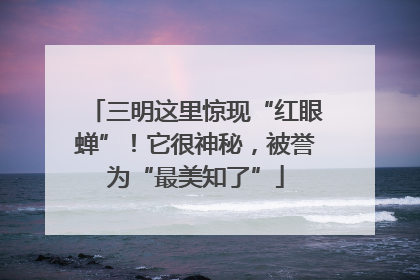 三明这里惊现“红眼蝉”！它很神秘，被誉为“最美知了”