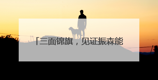三面锦旗，见证振森能源的“非凡合作”！