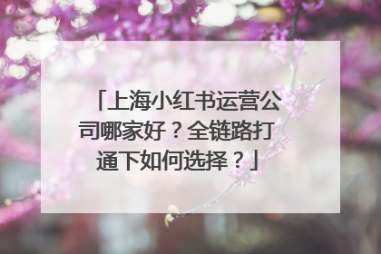 上海小红书运营公司哪家好？全链路打通下如何选择？
