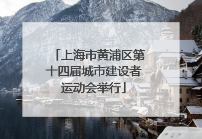 上海市黄浦区第十四届城市建设者运动会举行
