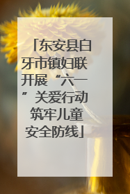东安县白牙市镇妇联开展“六一”关爱行动 筑牢儿童安全防线