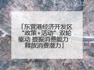 东营港经济开发区“政策+活动”双轮驱动 提振消费能力 释放消费潜力