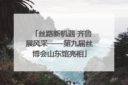 丝路新机遇 齐鲁展风采——第九届丝博会山东馆亮相