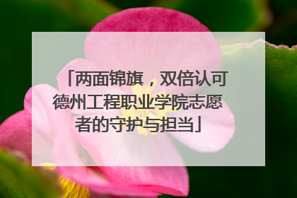 两面锦旗，双倍认可德州工程职业学院志愿者的守护与担当