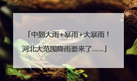 中到大雨+暴雨+大暴雨！河北大范围降雨要来了……