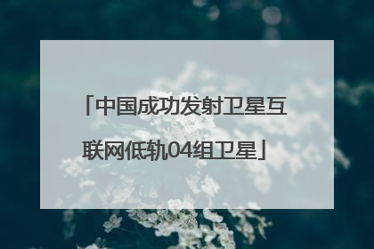 中国成功发射卫星互联网低轨04组卫星