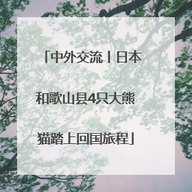 中外交流丨日本和歌山县4只大熊猫踏上回国旅程