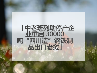 中老班列助停产企业重启 30000吨“四川造”钢铁制品出口老挝